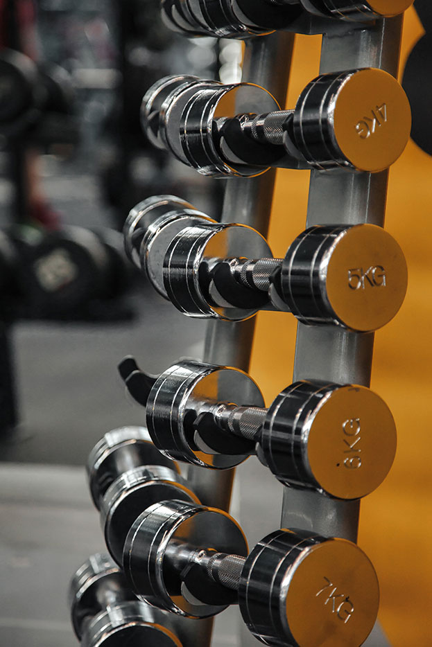 artículos deportivos y de entrenamiento personal de venta en eCommerce